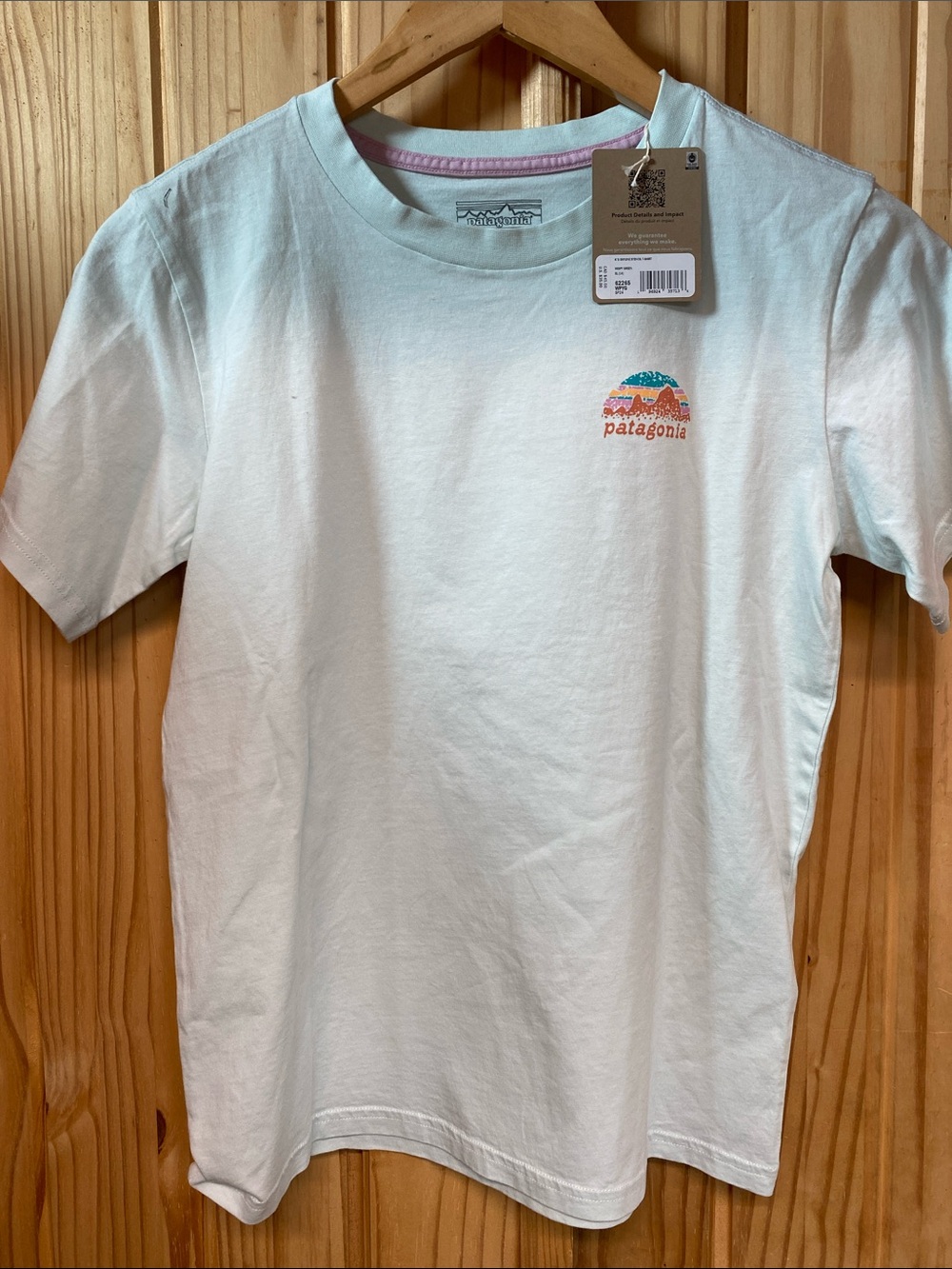 Patagonia Light Aqua Graphic Short-Sleeve Tee